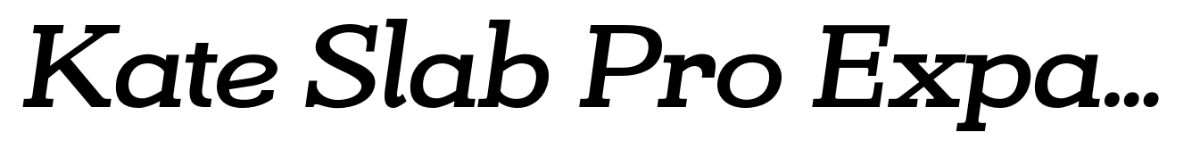 Kate Slab Pro Expanded 700 Bold Italic